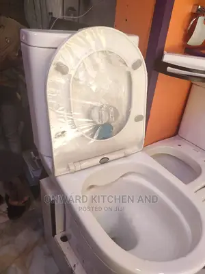 Quality Top Flush Designed Ceramic Water Closet.