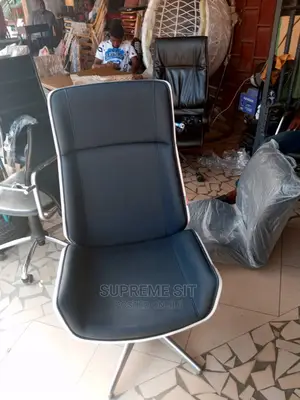 Executive Office Chair, White Back.