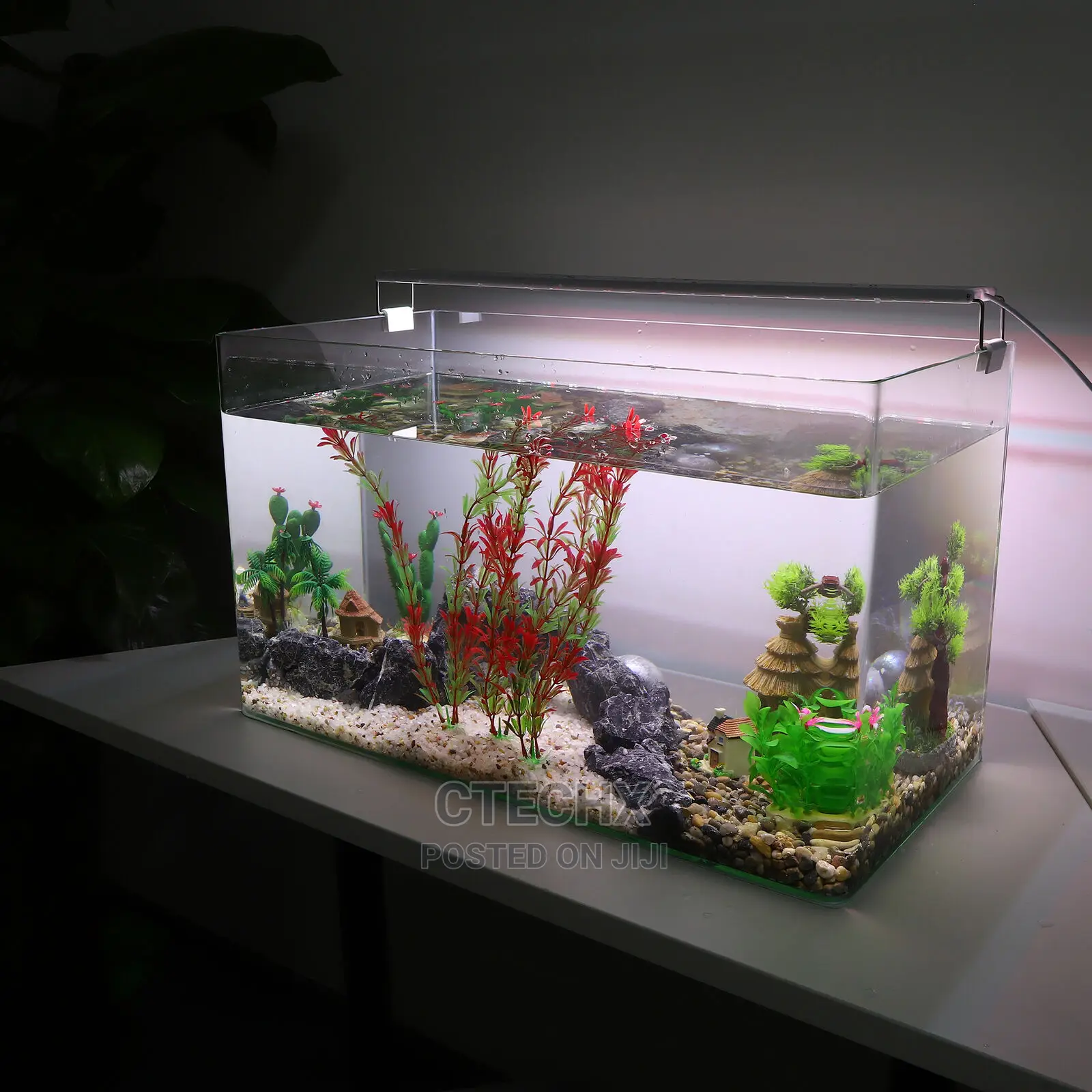 Aquarium Tank