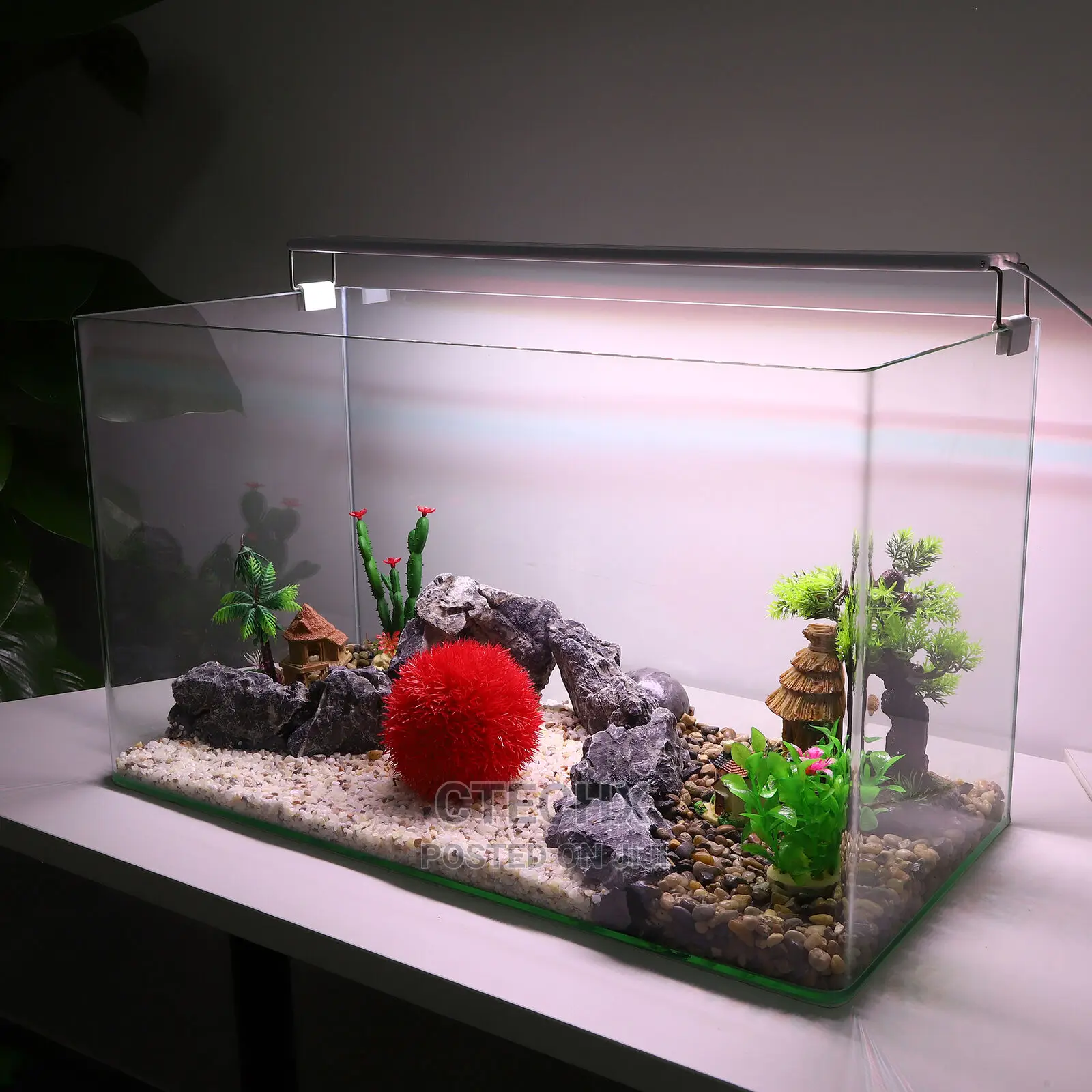 Aquarium Tank