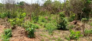 A Plot of Land