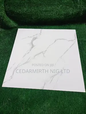 Room Floor Tile