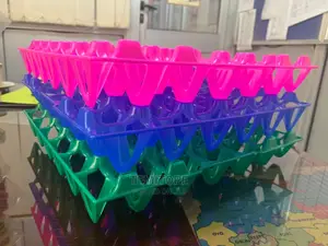 Photo - Plastic Egg Crates