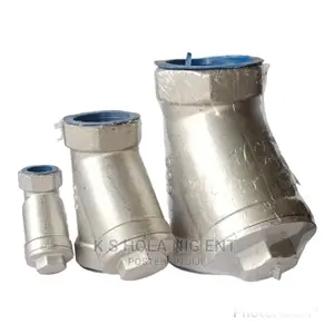 Y Strainer
