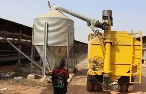 Photo - Poultry for Sale Along Suleja- Kaduna Road