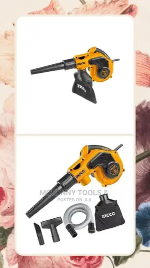 Ingco 2 in 1 Vacuum Blower 800W Dust Extractor CPU Blower