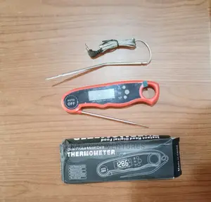 Digital Thermometer With Double Probe