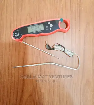 Digital Thermometer With Double Probe