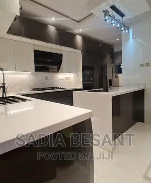 Luxury Kitchen Cabinet Design With Accessories
