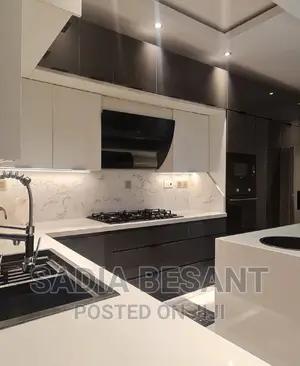 Luxury Kitchen Cabinet Design With Accessories