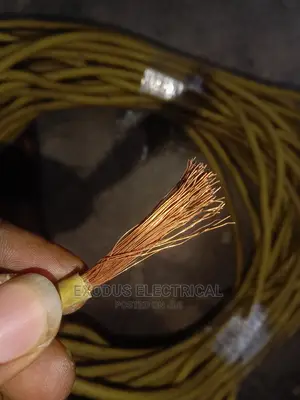Copper Scrab Copper 1
