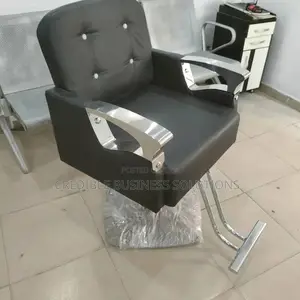Salon Chair