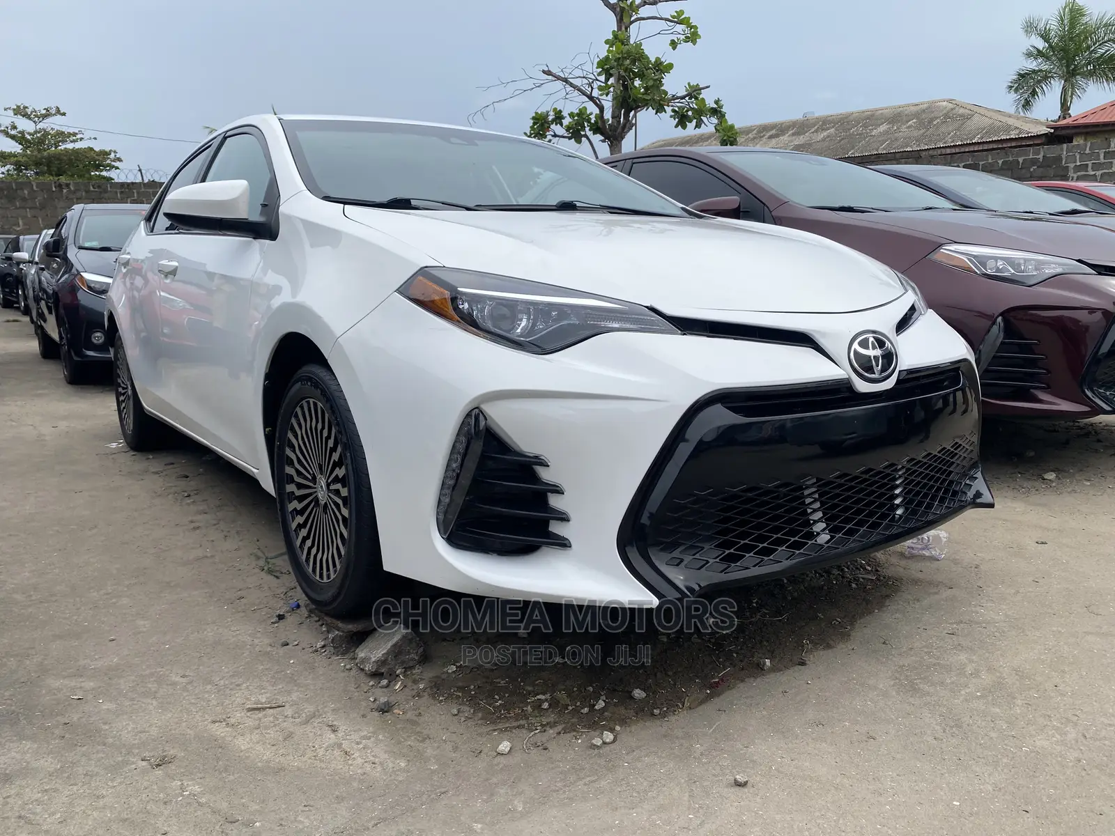Toyota Corolla 2019 White