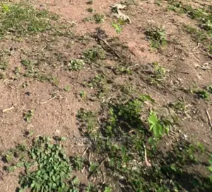 20 Plot of Land Along Lekki Epe Express Way
