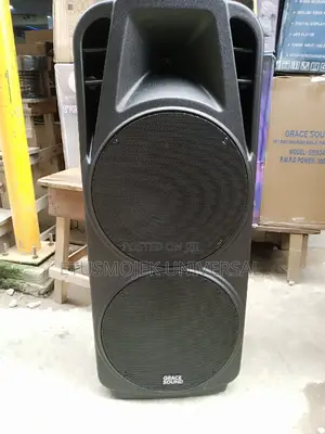 Rechargeable Double Speakers Public Address System