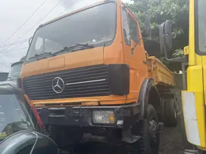 Mercedes Tipper With Low Face