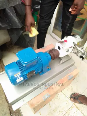 Stainless Rotary Gear Pump