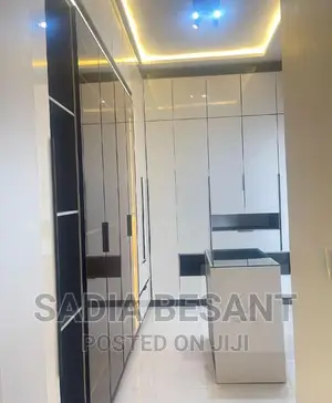 Contemporary Walk in Closet