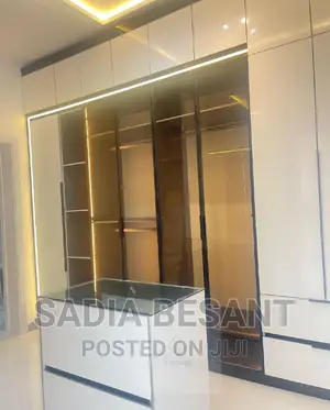 Contemporary Walk in Closet