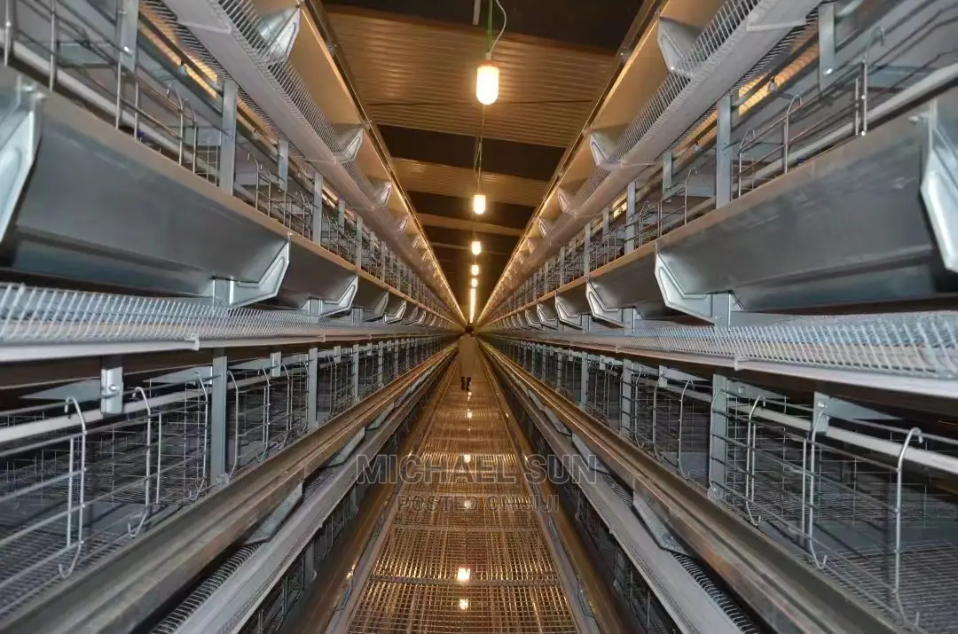 Automatic Battery Cage Poultry Cage