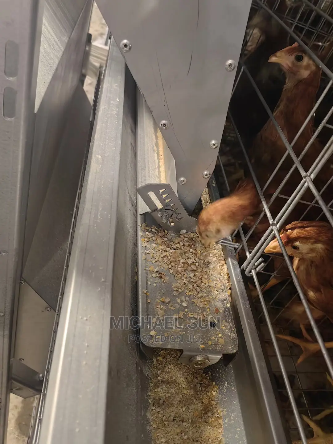 Automatic Battery Cage Poultry Cage