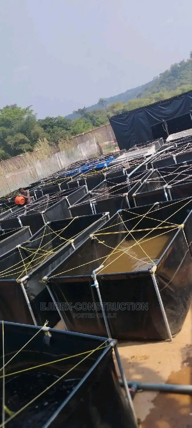 Mobile Fish Trampoline Pond