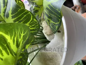 Artificial Flower With Pots