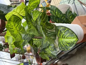 Artificial Flower With Pots