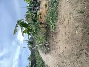 655sqms of Virgin Land in Ogombo