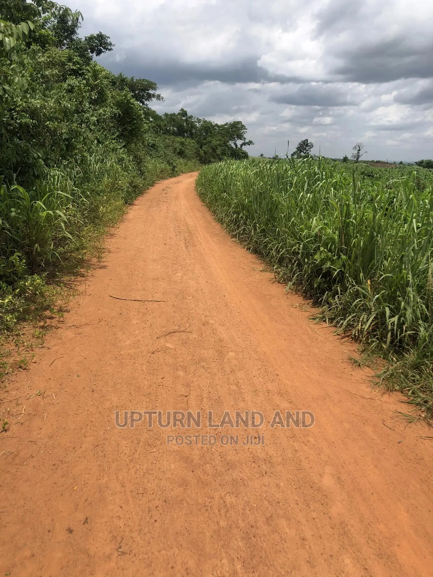 Buy 50 Acres Per Acre in Kabape Ogun State