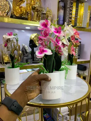 Orchid Flower Pot