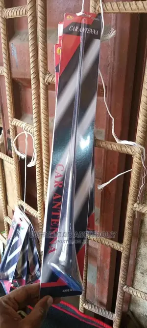 Car Fancy Antenna
