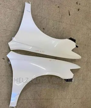 Fender Acura TSX 2006 Model