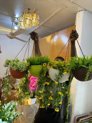 Beautiful Hanging Flowers In Basket