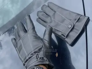 Luxury Leather Ski Gloves