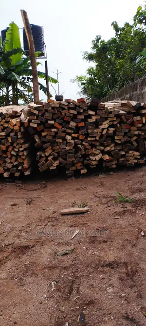 Your Roofing Woods Plug