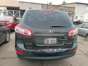 Hyundai Santa Fe Limited 2010 Gray