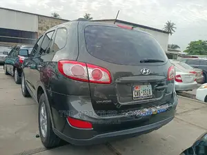 Hyundai Santa Fe Limited 2010 Gray