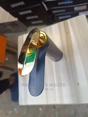 Black and Gold Basin Mixer Tap