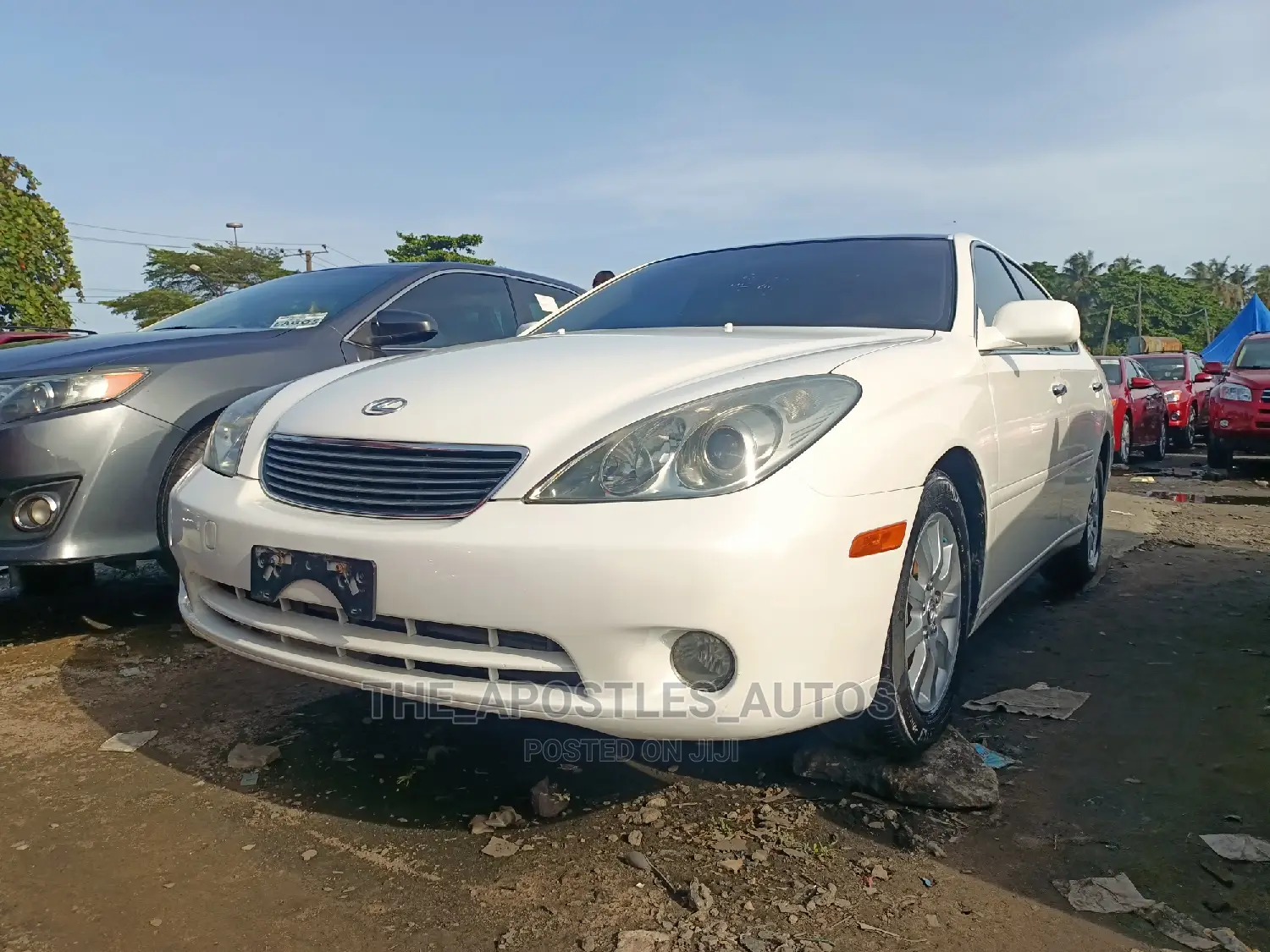 Lexus ES 330 2006 White