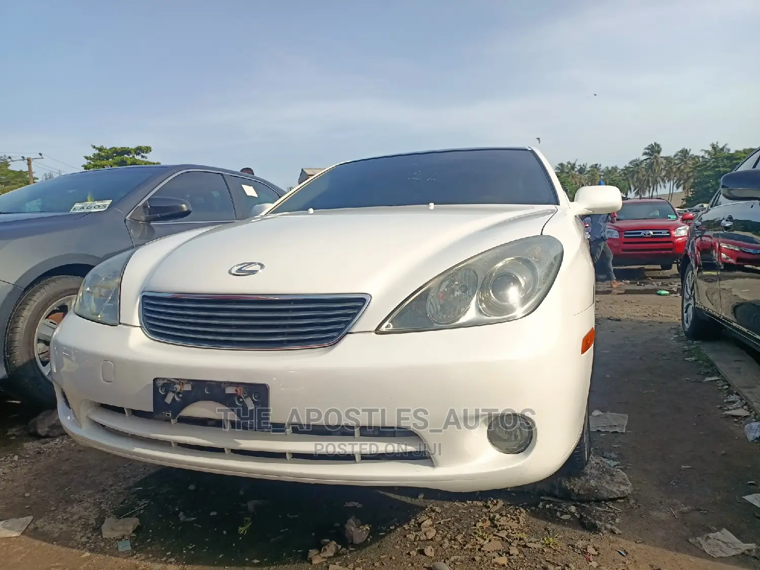 Lexus ES 330 2006 White