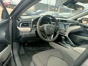 Toyota Camry SE (2.5L 4cyl 8A) 2019 Gray