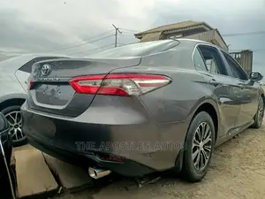 Toyota Camry SE (2.5L 4cyl 8A) 2019 Gray