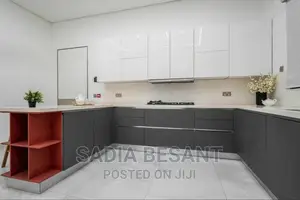 Luxury Kitchen Cabinet and Accessories
