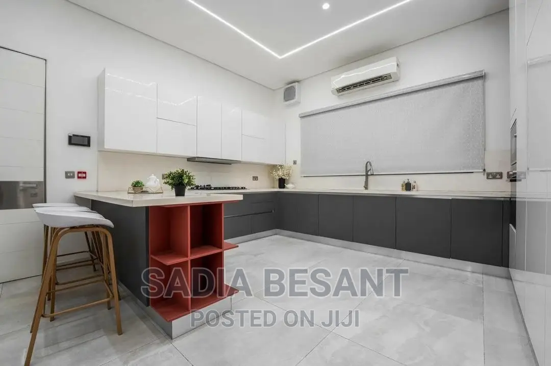 Luxury Kitchen Cabinet and Accessories
