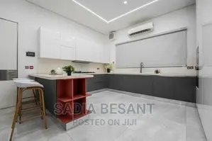 Luxury Kitchen Cabinet and Accessories