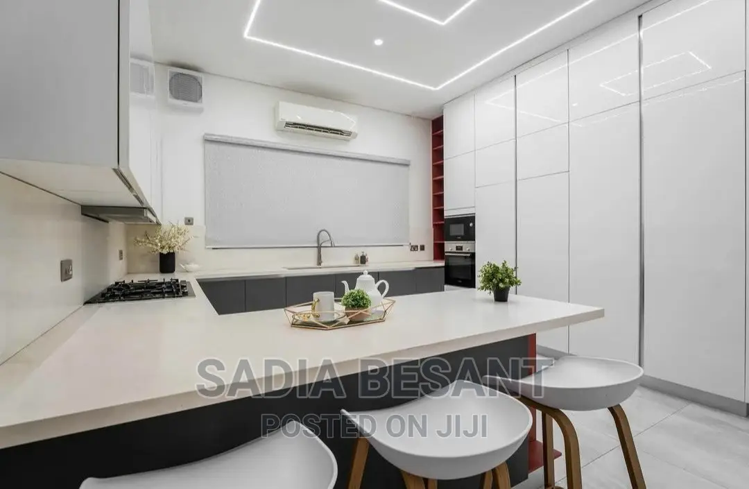 Luxury Kitchen Cabinet and Accessories