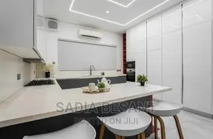 Luxury Kitchen Cabinet and Accessories