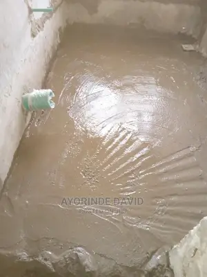 Toilet Upgrading
