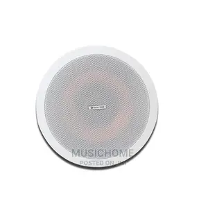 High Quality 30W POP Inceiling Speakers
